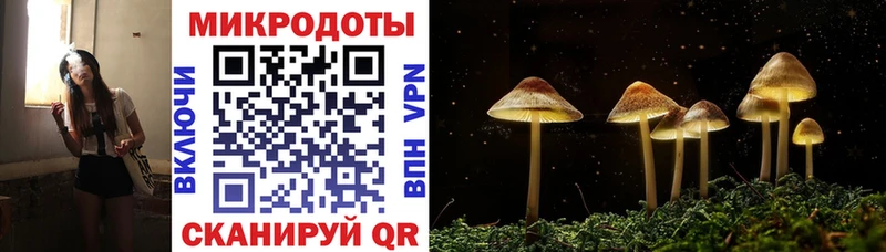 Галлюциногенные грибы мухоморы  hydra вход  Тайшет 