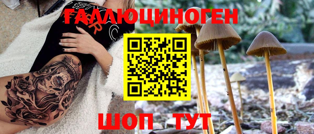 Псилоцибиновые грибы MAGIC MUSHROOMS Тайшет